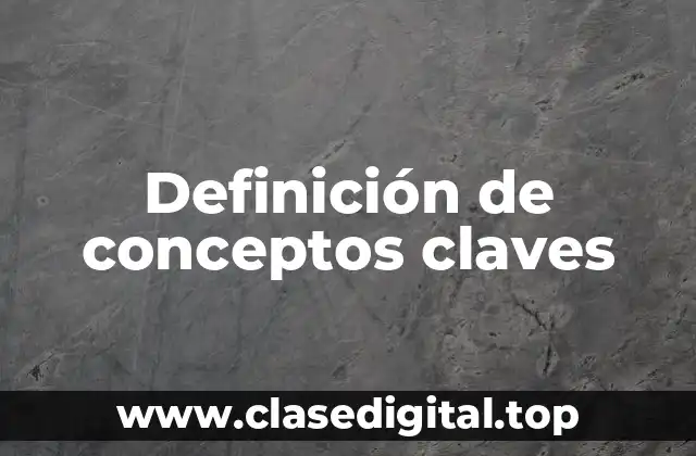 Definición de conceptos claves