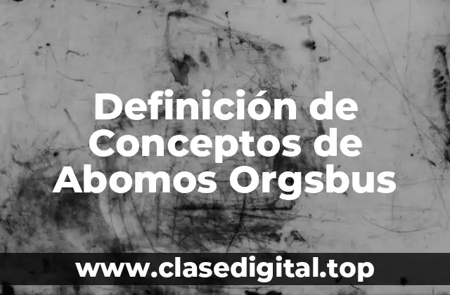 Definición de Conceptos de Abomos Orgsbus