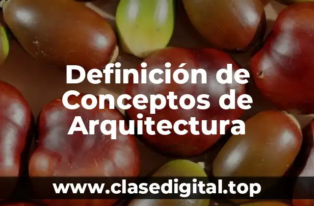 Definición de Conceptos de Arquitectura