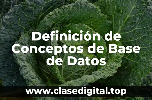 Definición de Conceptos de Base de Datos
