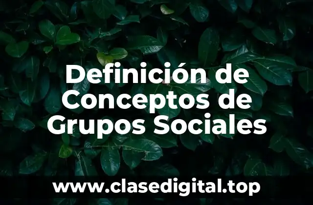 Definición de Conceptos de Grupos Sociales