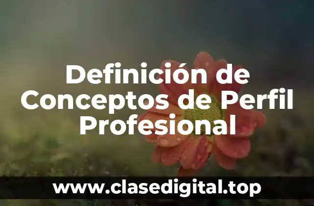 Definición de Conceptos de Perfil Profesional