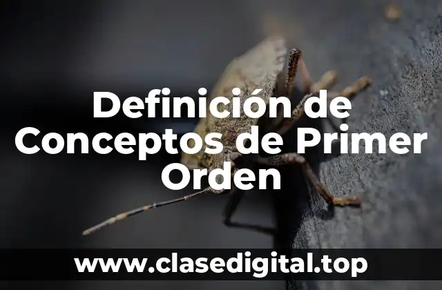 Definición de Conceptos de Primer Orden