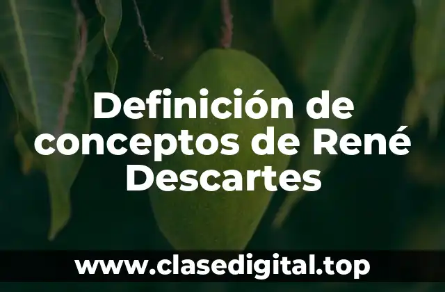 Ejemplos de conceptos de René Descartes