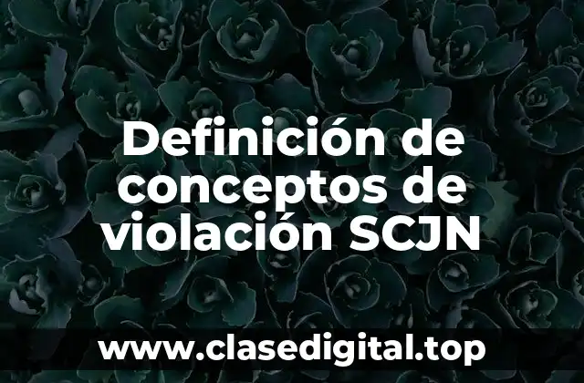 Definición de conceptos de violación SCJN