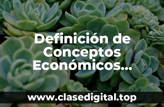Definición de Conceptos Económicos Fundamentales