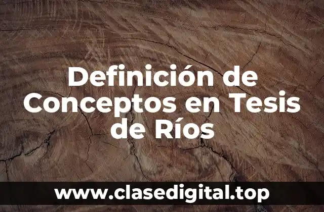 Definición Técnica de Conceptos en Tesis de Ríos