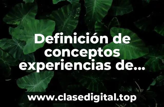 Definición de conceptos experiencias de aprendizaje