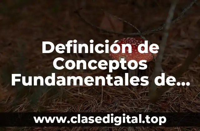 Definición Técnica de Conceptos Fundamentales de Derecho Romano