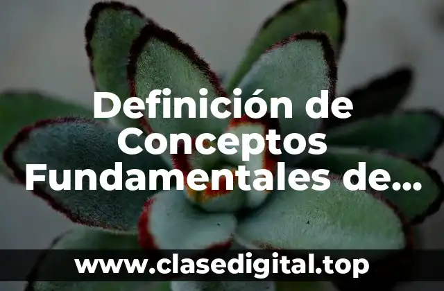 Definición de Conceptos Fundamentales de Estadística