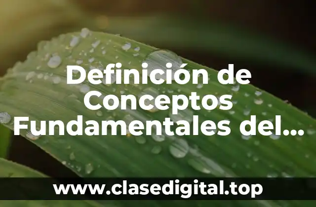 Definición de Conceptos Fundamentales del Derecho