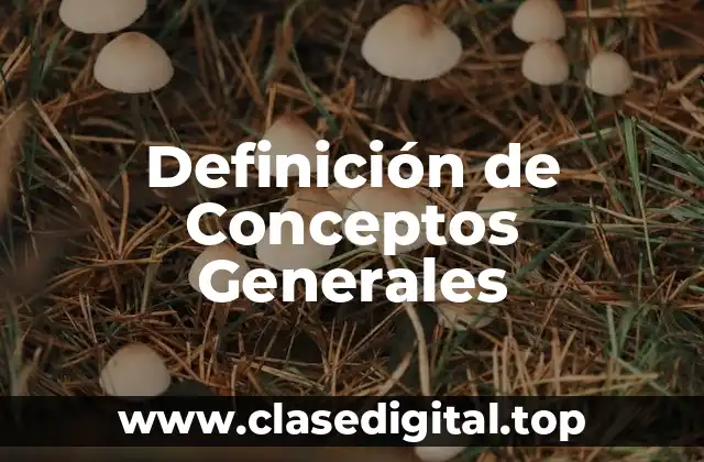 Definición de Conceptos Generales