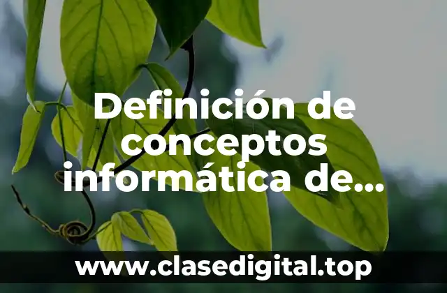 Definición de conceptos informática de programación
