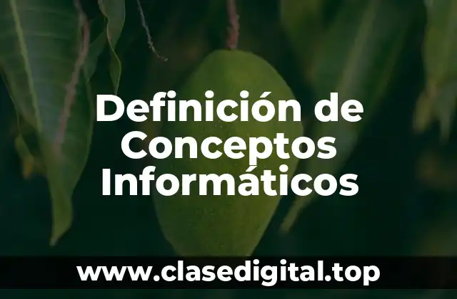 Definición de Conceptos Informáticos