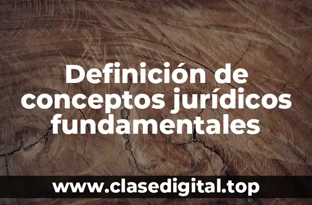 Definición de conceptos jurídicos fundamentales