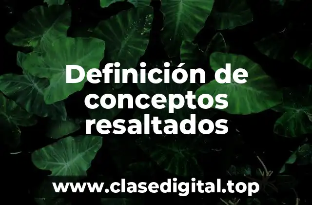 Definición de conceptos resaltados