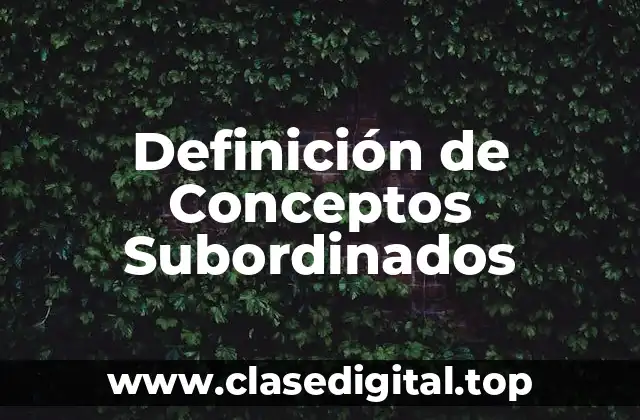 Definición de Conceptos Subordinados