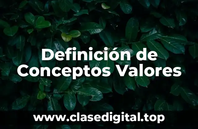 Definición de Conceptos Valores