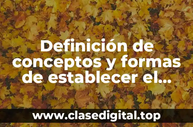 Definición de conceptos y formas de establecer el precio