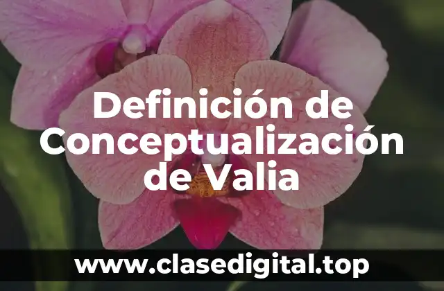 Definición de Conceptualización de Valia