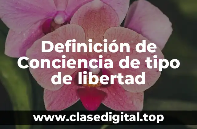 Definición de Conciencia de tipo de libertad