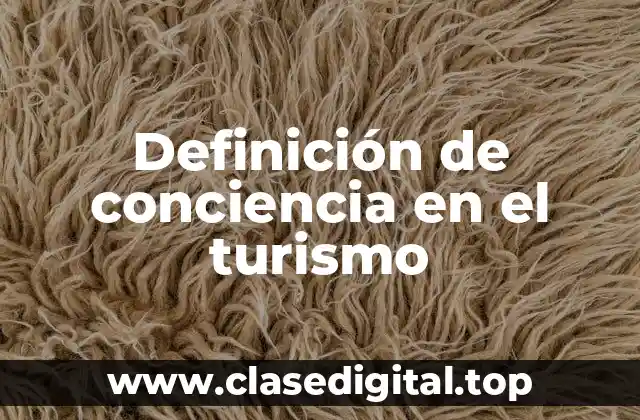 Definición de conciencia en el turismo