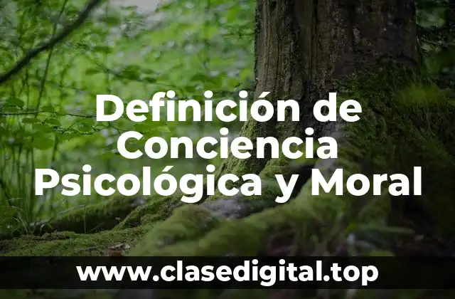 Definición de Conciencia Psicológica y Moral
