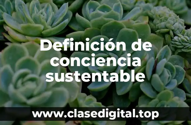 Ejemplos de conciencia sustentable