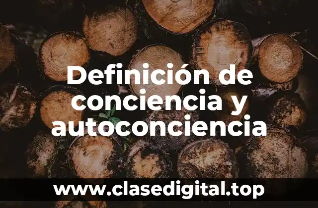 Ejemplos de conciencia y autoconciencia