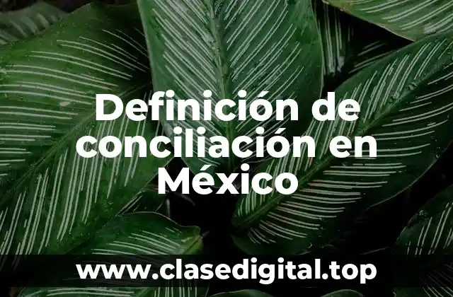 Definición de conciliación en México