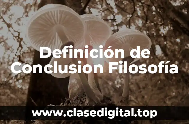 Definición de Conclusion Filosofía