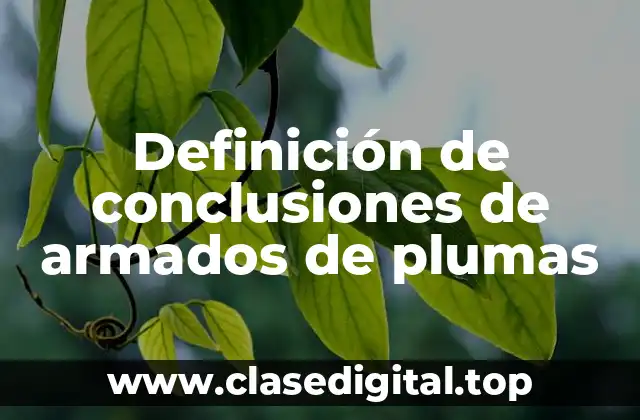 Definición de conclusiones de armados de plumas