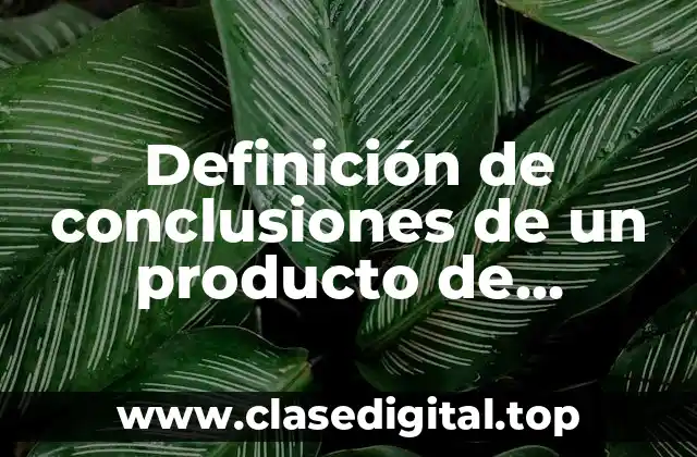 Definición de conclusiones de un producto de empresa