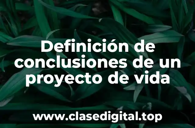 Definición de conclusiones de un proyecto de vida