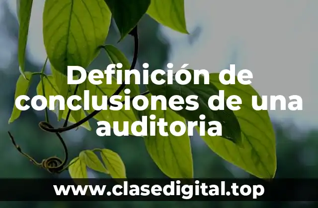 Definición de conclusiones de una auditoria