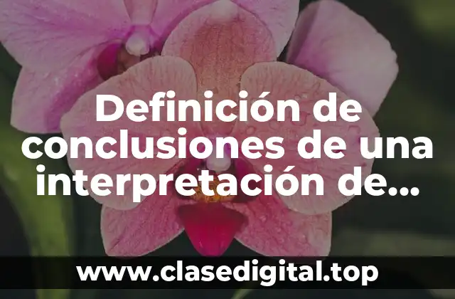 Definición de conclusiones de una interpretación de datos