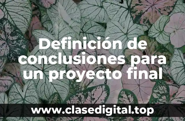 Ejemplos de conclusiones para un proyecto final