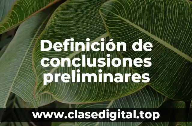 Ejemplos de conclusiones preliminares