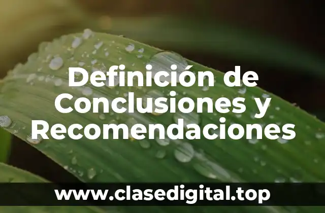 Definición de Conclusiones y Recomendaciones