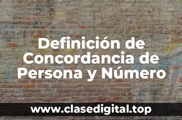 Definición de Concordancia de Persona y Número