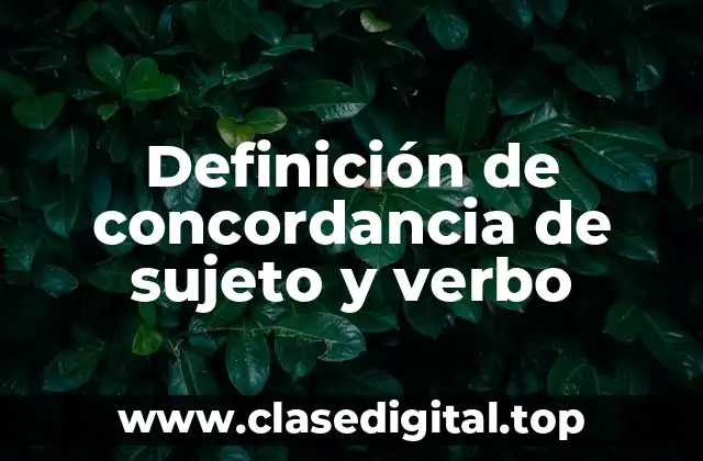 Ejemplos de concordancia de sujeto y verbo