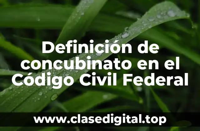 Definición de concubinato en el Código Civil Federal