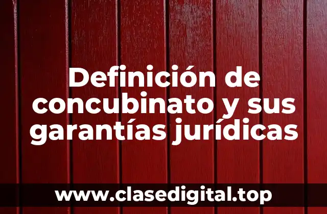 Definición de concubinato y sus garantías jurídicas