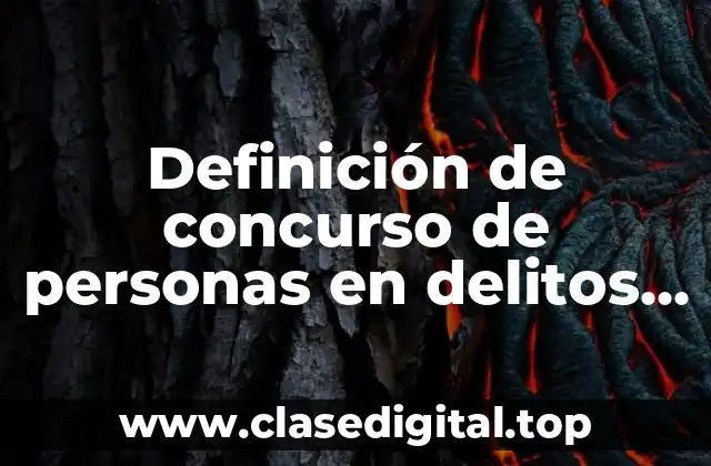 Definición de concurso de personas en delitos informáticos