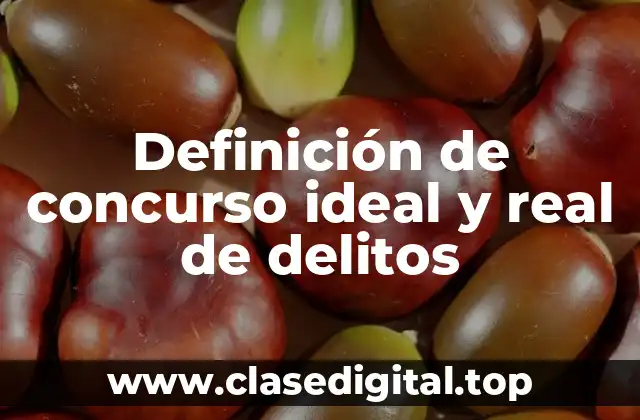 Definición de concurso ideal y real de delitos