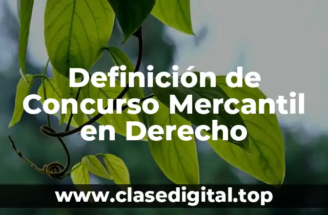 Definición de Concurso Mercantil en Derecho