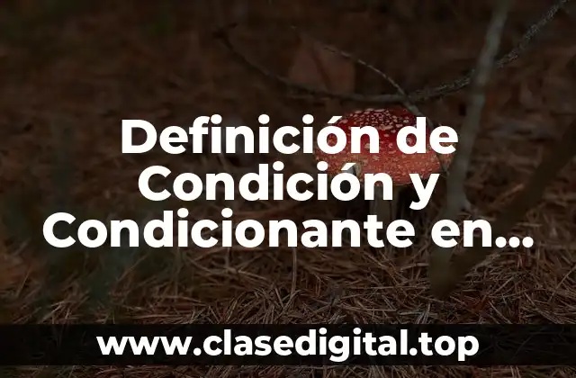 Definición de Condición y Condicionante en Investigación