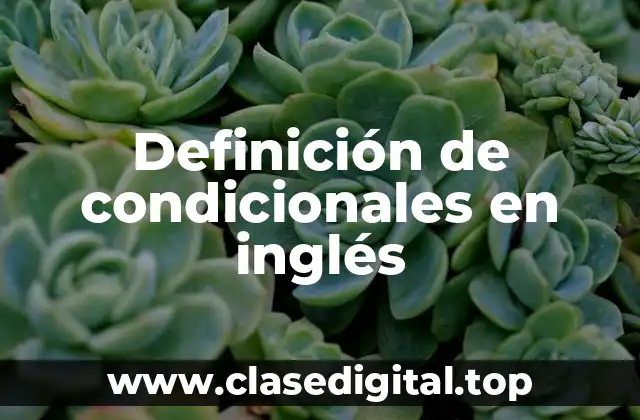 Ejemplos de condicionales en inglés