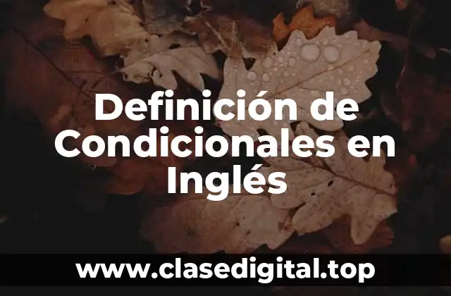 Definición Técnica de Condicionales en Inglés