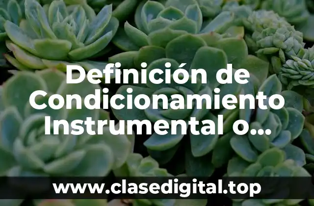 Definición de Condicionamiento Instrumental o Operante
